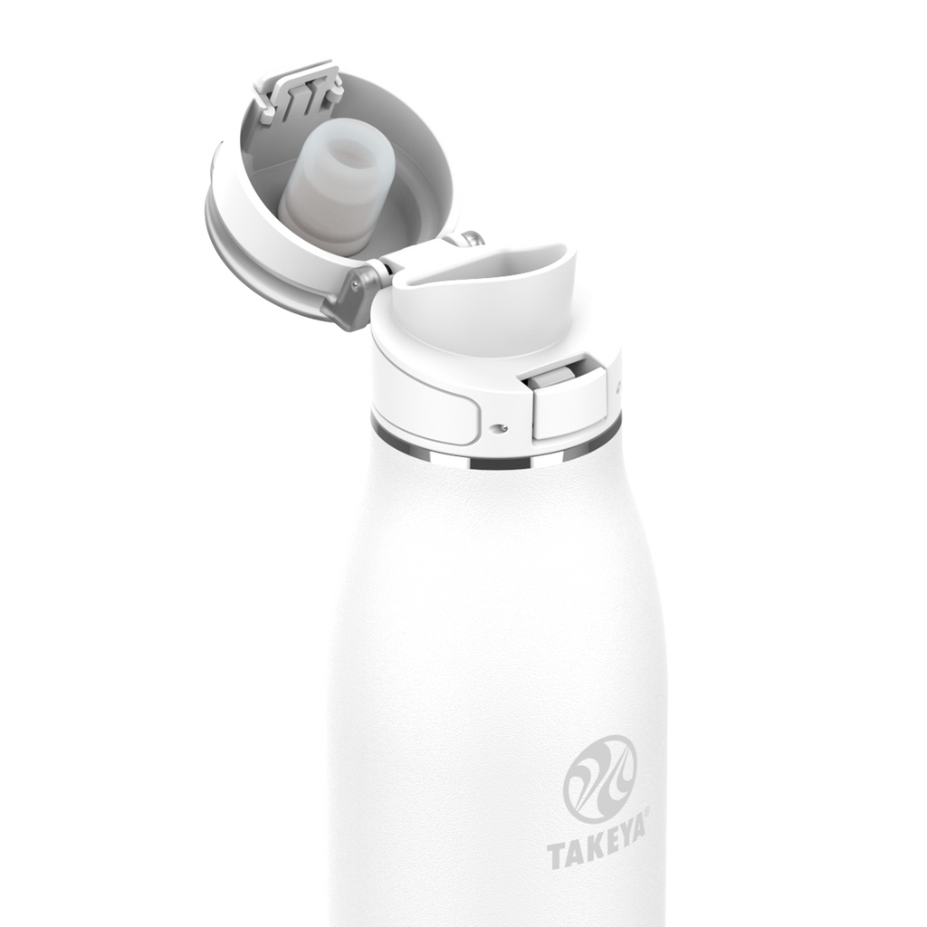 Traveler Leakproof Coffee Mug
